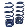 Rear Dual-Rate Coil Springs, 2″ Drop | 1978-1988 GM G-Body | Pair